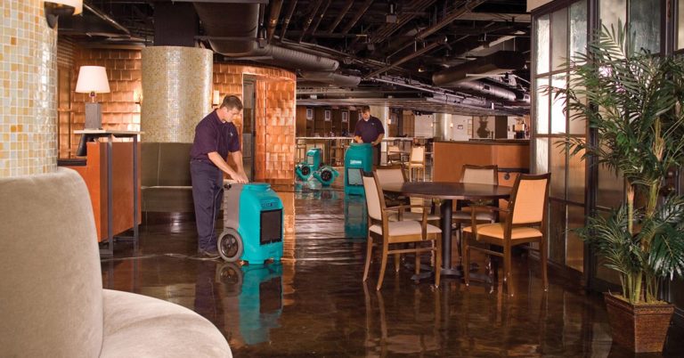 local water damage company Gainesville, FL